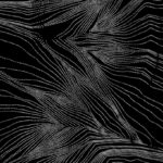 nervures-005.jpg