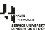 logo_suio_ulhn_noir.jpg