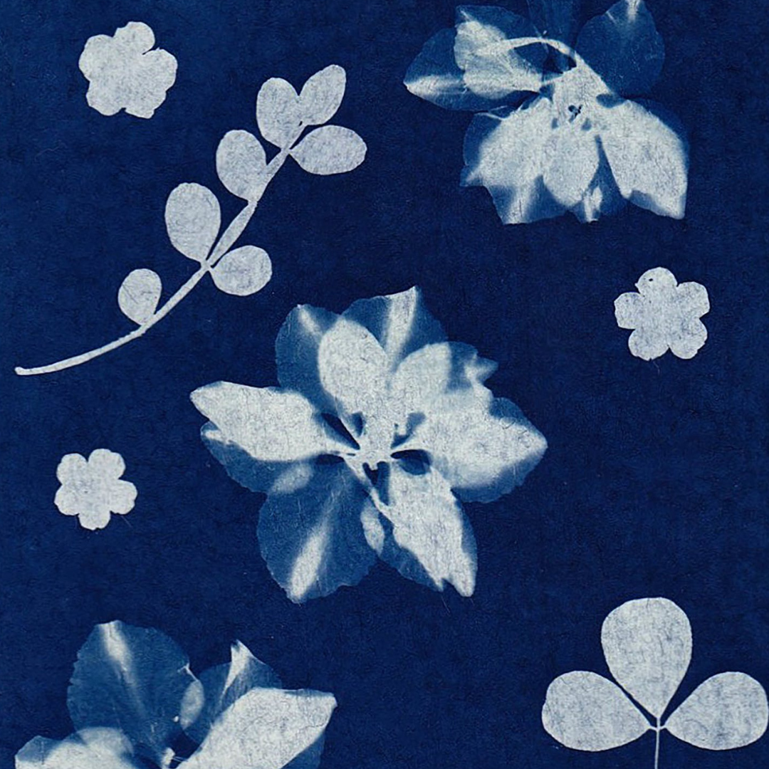 visuel_samedi_photo_18_03_cyanotype_2_.png