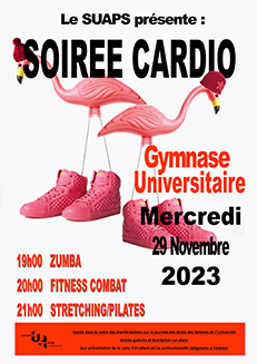 mini_web_zumba.jpg