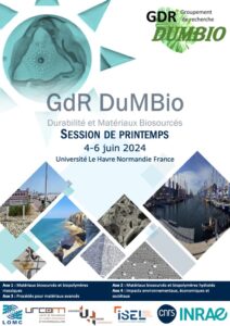 Flyer DUMBIO 2024