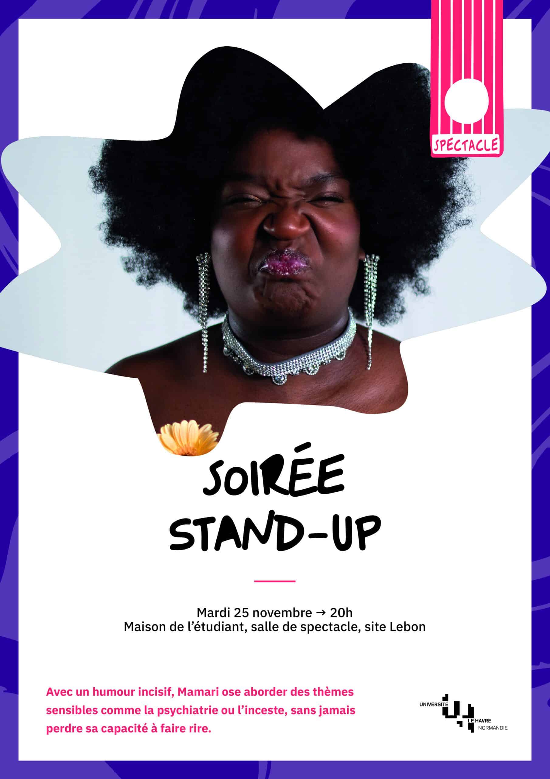 Affiche A3 culture21