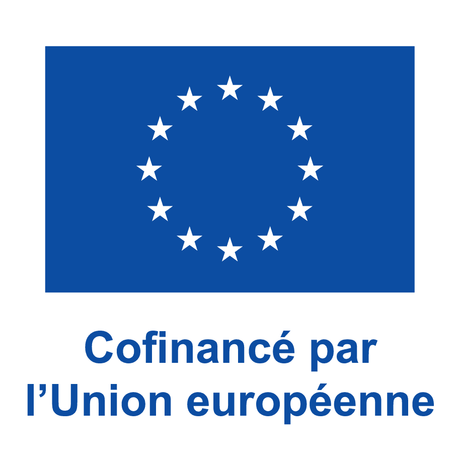 FR V Cofinancé par l’Union européenne_PANTONE