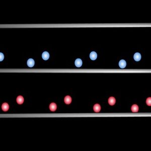 a-Cross-section-of-the-axoneme-b-Cross-section-of-the-axoneme-where-we-group-the_Q320
