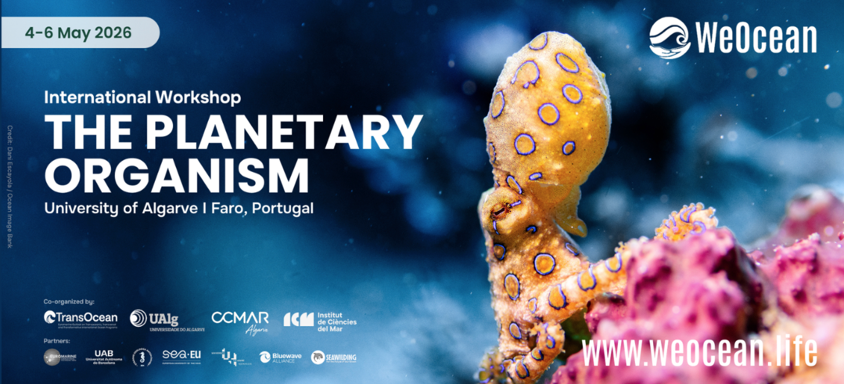 Capture d’écran 2026-03-04 à 11.08.26