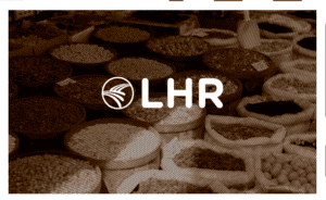 Capture d’écran 2026-03-24 à 11.54.29