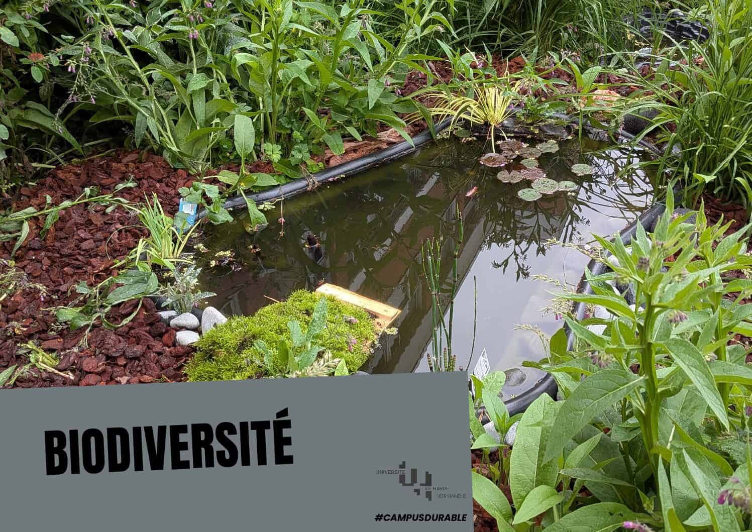 biodiversité