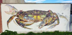 MUR_Teuthis_octobre2026