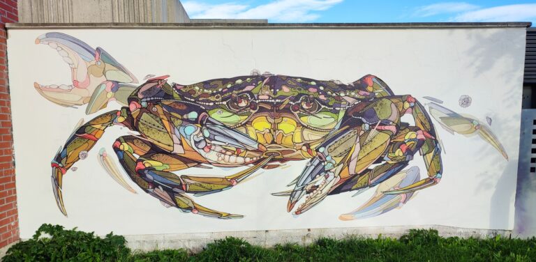 MUR_Teuthis_octobre2026