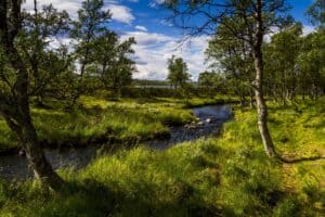 trondmyhre4-the-river-4856846_1920