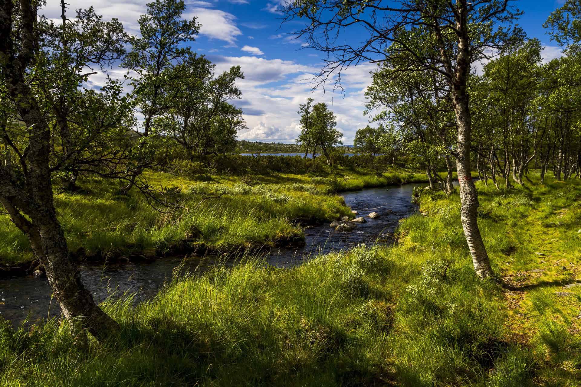 trondmyhre4-the-river-4856846_1920